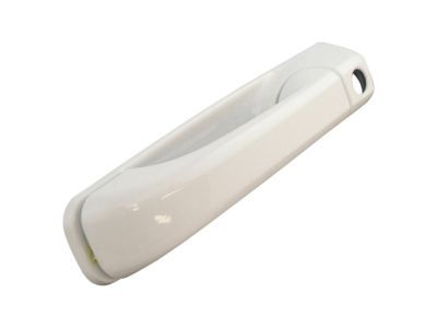 Ram 1GH21GW7AD HANDLE Exterior Door