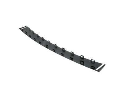 Dodge 5113690AA Step Pad