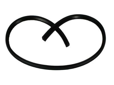 Chrysler 68026895AA SEAL Rear