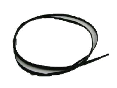 Dodge Intrepid Weather Strip - 4780765AB