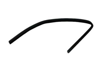 Dodge 55359443AE SEAL Rear Door Glass