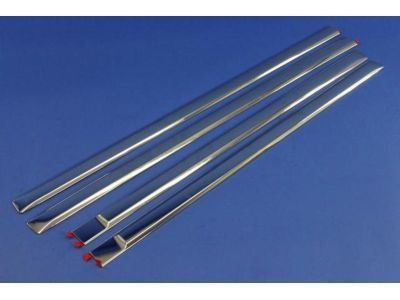 Ram 82213505 MOLDING KIT Body Side
