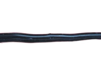 Mopar 4354047 Run Channel, Front