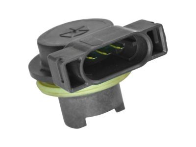 Dodge Light Socket - 4523108