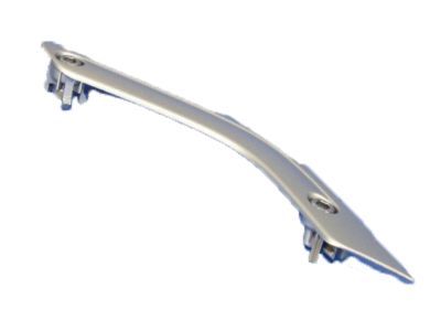 Jeep 1RE67JSLAE BEZEL Grab Handle