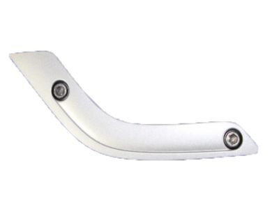 Jeep 1RE67JSLAE BEZEL Grab Handle