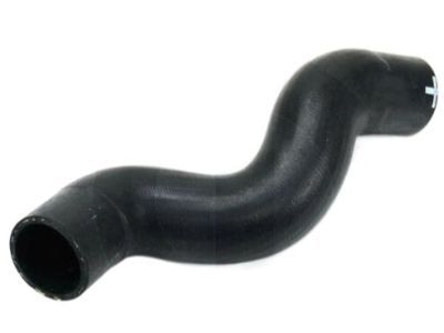 Mopar 55037912AA Upper Hose, Lower