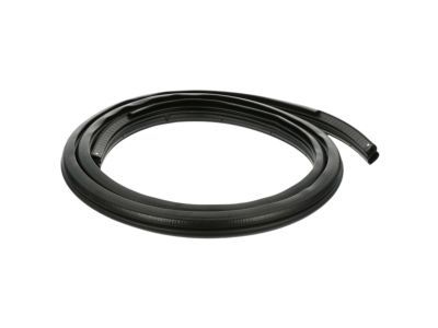 Mopar 55176958AG Weatherstrip, Rear