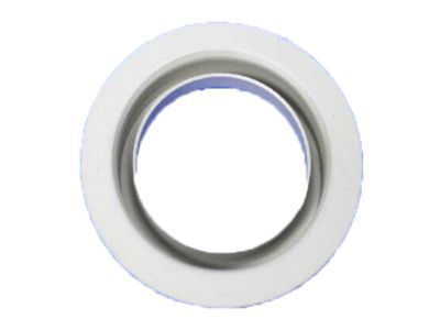 Ram 68055318AA SHIELD Dust