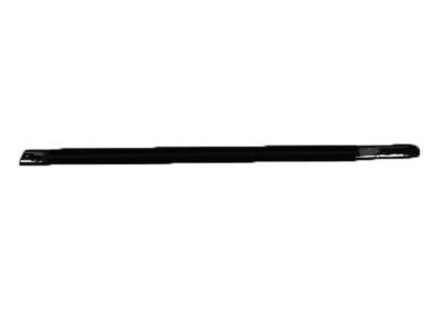 Dodge Door Seal - 4805996AD