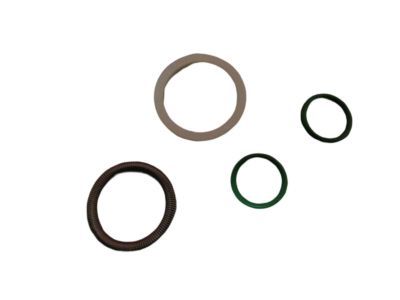 Chrysler 4796294 O RING KIT Quick Connect Suction Line