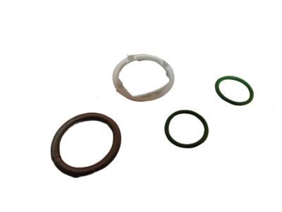 Chrysler 4796294 O RING KIT Quick Connect Suction Line