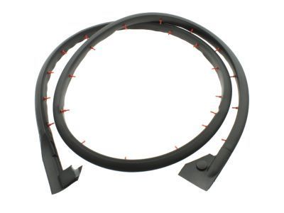 2002 Dodge Ram Wagon Door Seal - 55359203AB