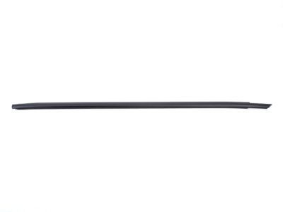 Dodge 55399123AC WEATHERSTRIP Front Door Belt