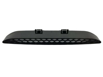 Mopar 68202462AD Bezel, Front