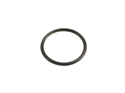 Jeep 68224037AA O RING