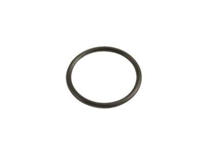 Jeep 68224037AA O RING