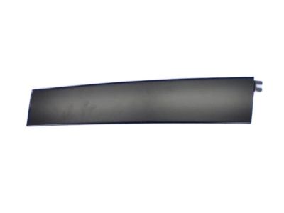 Dodge 4806148AB APPLIQUE Rear Door
