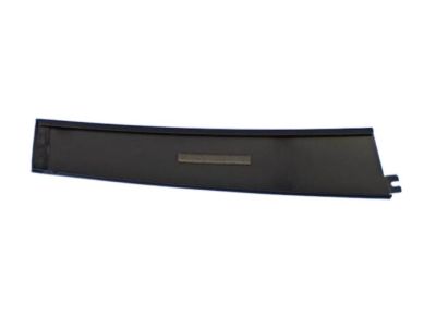 Dodge 4806148AB APPLIQUE Rear Door