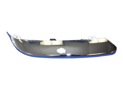 Chrysler 4806124AA STRIP Front Fascia Bright