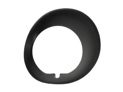 Dodge 55077239AD BEZEL Fog Lamp