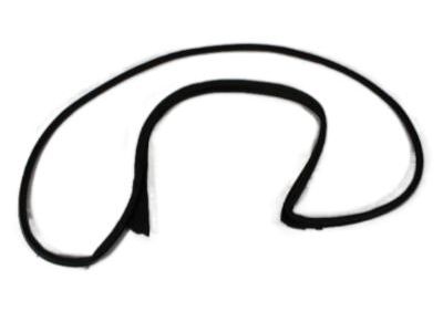 Mopar 5065991AE Surround Weatherstrip, Front Driver Side