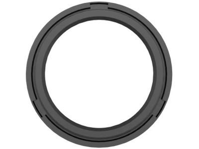 Jeep 68148333AA O RING Fuel Injector
