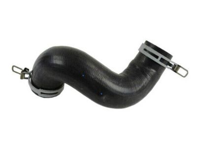 Mopar 52029283AF Lower Hose