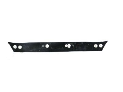 Jeep 68086771AF APPLIQUE License Lamp