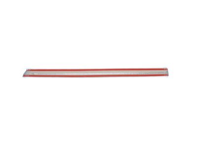 Dodge WU16AP4AA MOLDING Rear Door