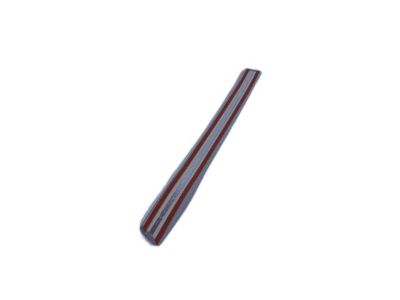 Dodge WU16AP4AA MOLDING Rear Door