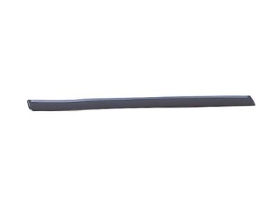 Dodge WU16AP4AA MOLDING Rear Door