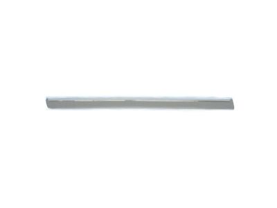 Dodge WU16AP4AA MOLDING Rear Door