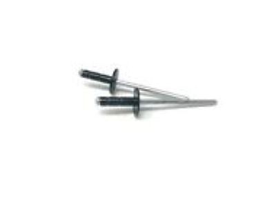 Chrysler 6031115 RIVET