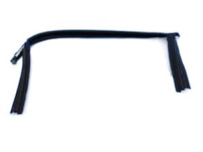 Jeep 68156226AC WEATHERSTRIP Door Glass