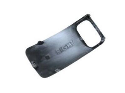 Mopar 1YT66DX9AA Switch Bezel, Passenger Side
