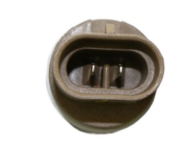 Mopar 5303482AF Fog Lamp Assembly, Front