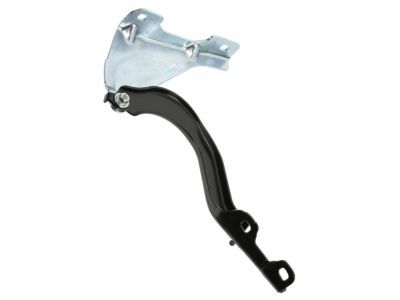Mopar 68290462AB Hinge, Front Passenger Side