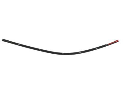 Ram 68348688AG MOLDING Day Light Opening Rear Door