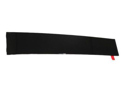 Mopar 57010445AL Applique B Pillar Front