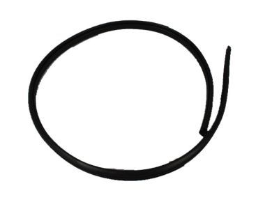 Mopar 5074310AA Weatherstrip Front Door Secondary
