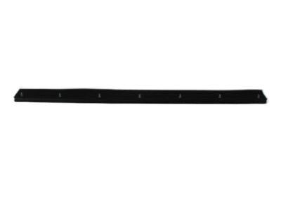 Chrysler 55362137AB SEAL Rear Door
