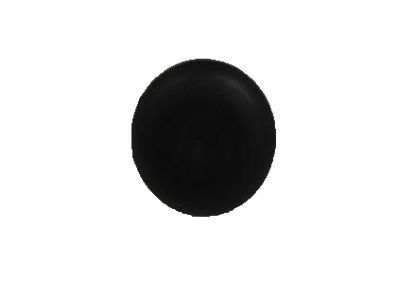 Ram 5061472AA PUSH PIN