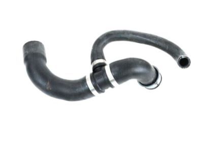 Mopar 68025109AA Lower Hose