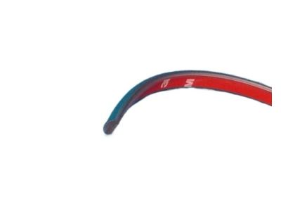 Chrysler 4630423 NERF Fascia Bright