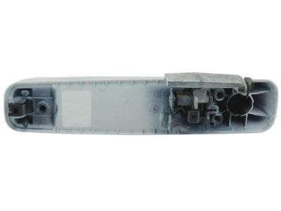 Ram 1GH18GW7AD HANDLE Exterior Door
