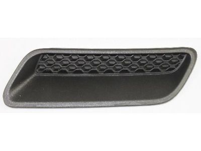 Ram 68324991AA BEZEL Hood