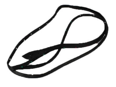 2012 Ram 2500 Door Seal - 55369285AC