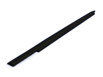 Jeep 55395717AC WEATHERSTRIP DOOR BELT OUTER Rear Door