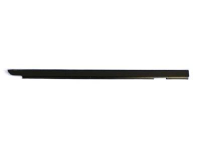 Jeep 55395717AC WEATHERSTRIP DOOR BELT OUTER Rear Door